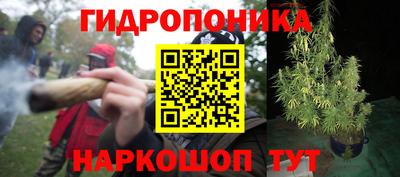 молекула духа Сланцы