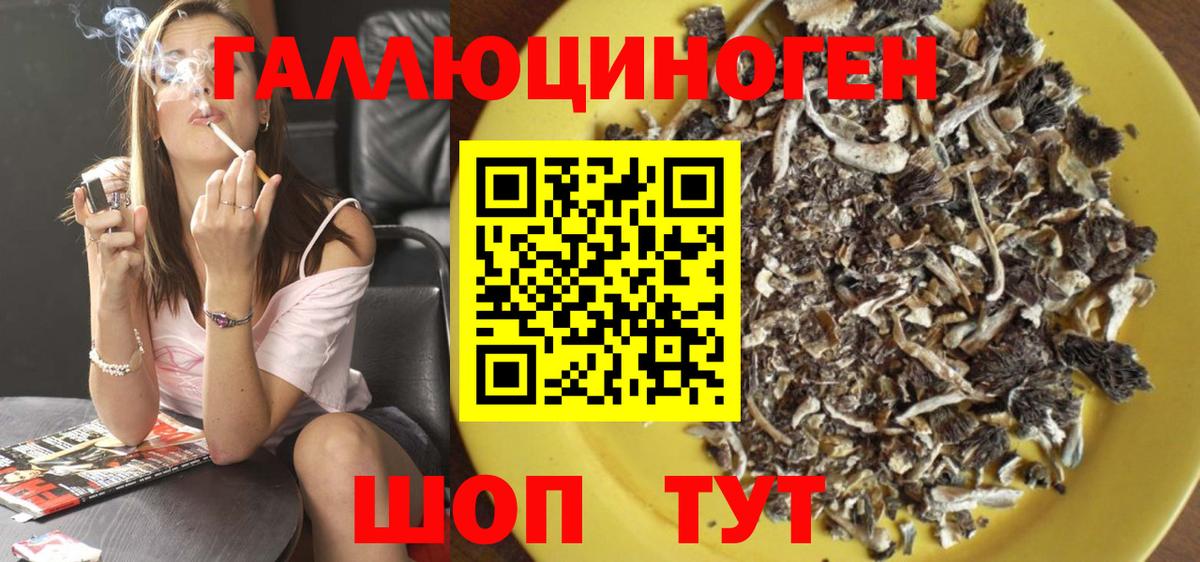 Галлюциногенные грибы Cubensis Светлоград